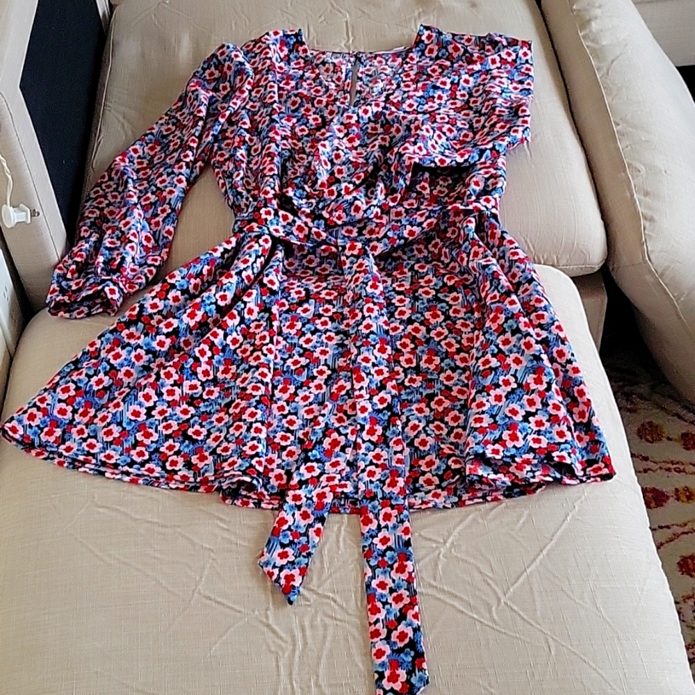 Beautiful Puff Sleeved Dress